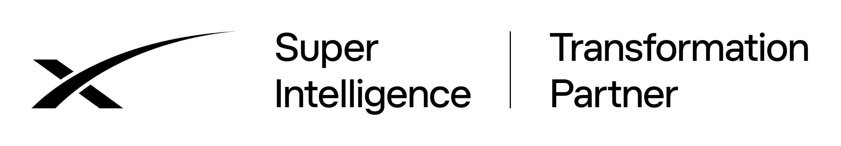 SpaceXSI Transformation Partner